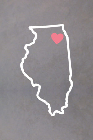 Illinois Outline Decal - Image 2